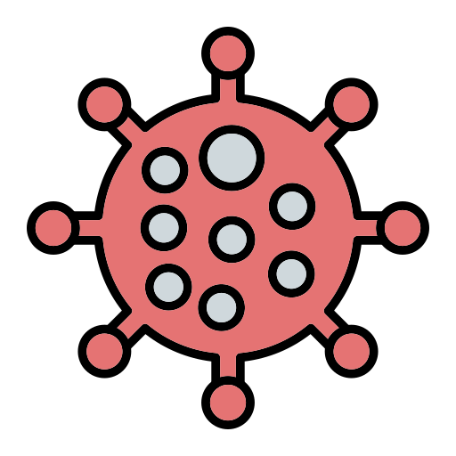 24 Hour Mold Removal